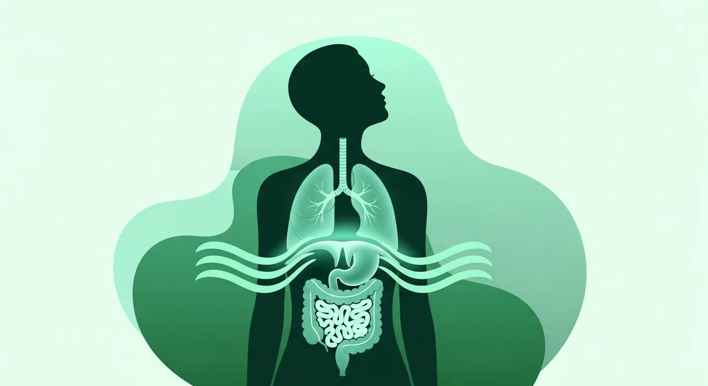 Breathing and Digestion: The Connection You're Missing