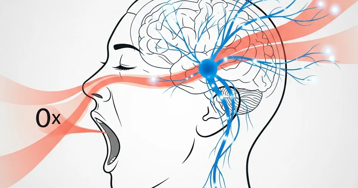 Why Do We Yawn? The Fascinating Science of Yawning